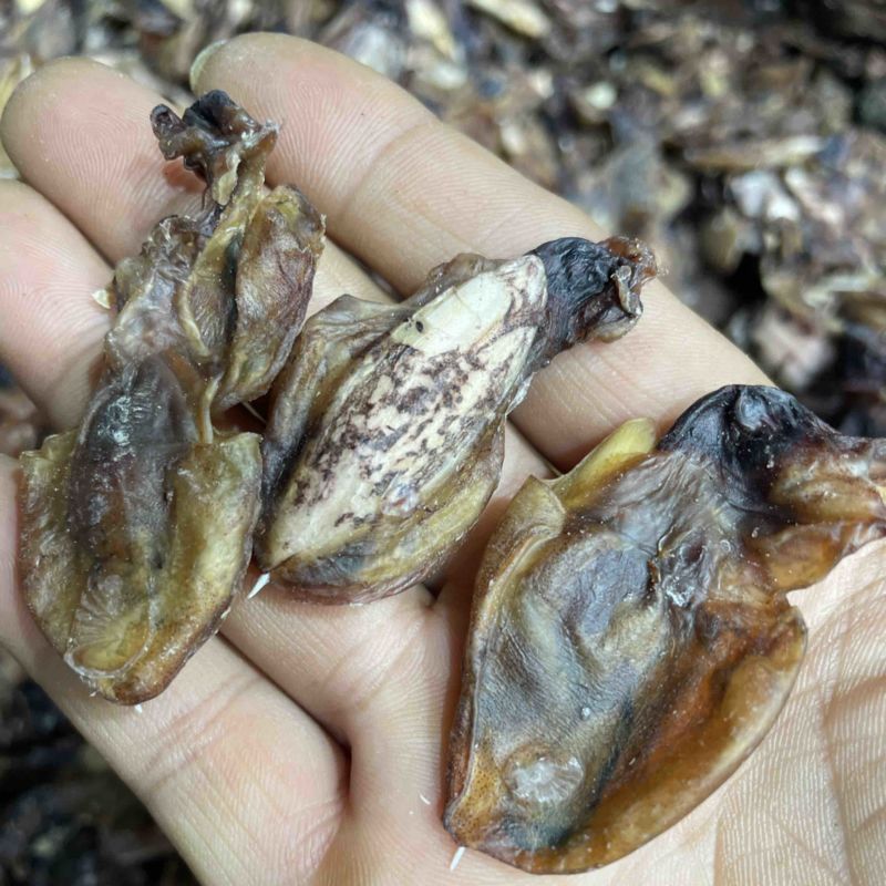 小墨鱼干纯淡足干墨鱼仔汤底料鲜味十足一手货源批发