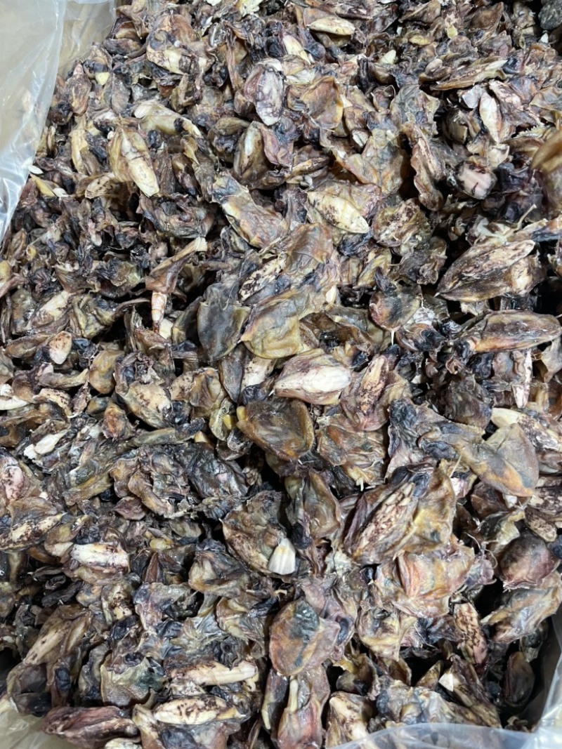 小墨鱼干纯淡足干墨鱼仔汤底料鲜味十足一手货源批发