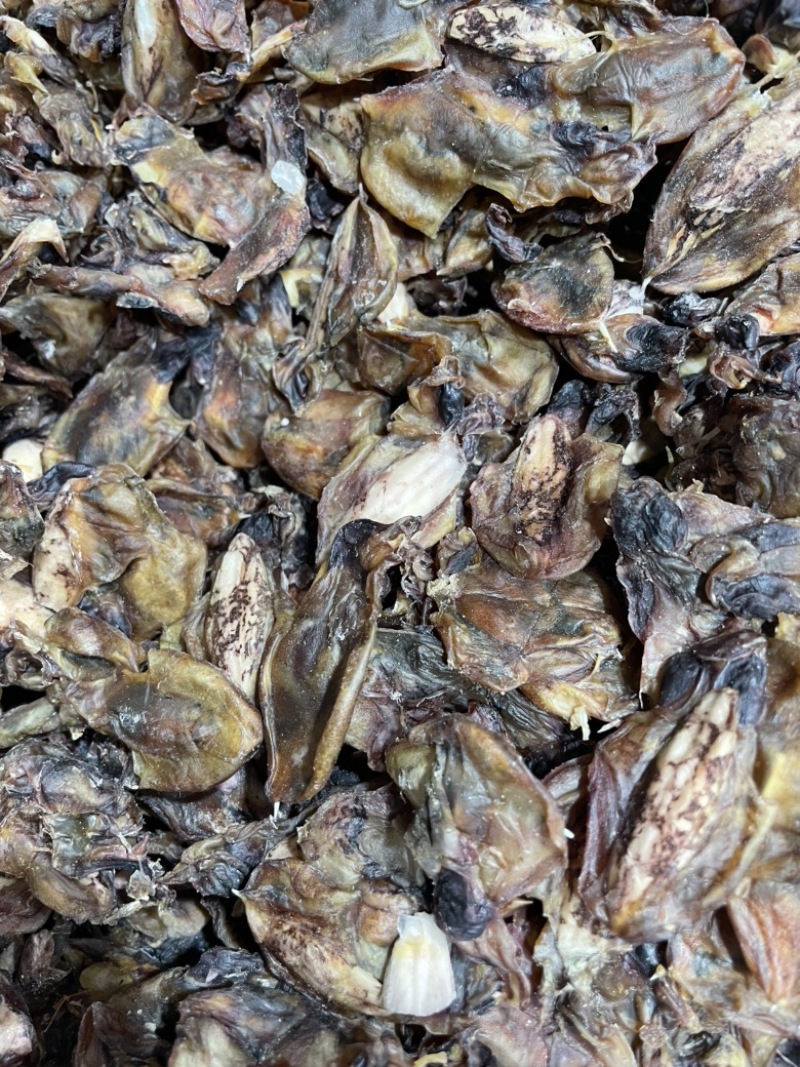 小墨鱼干纯淡足干墨鱼仔汤底料鲜味十足一手货源批发