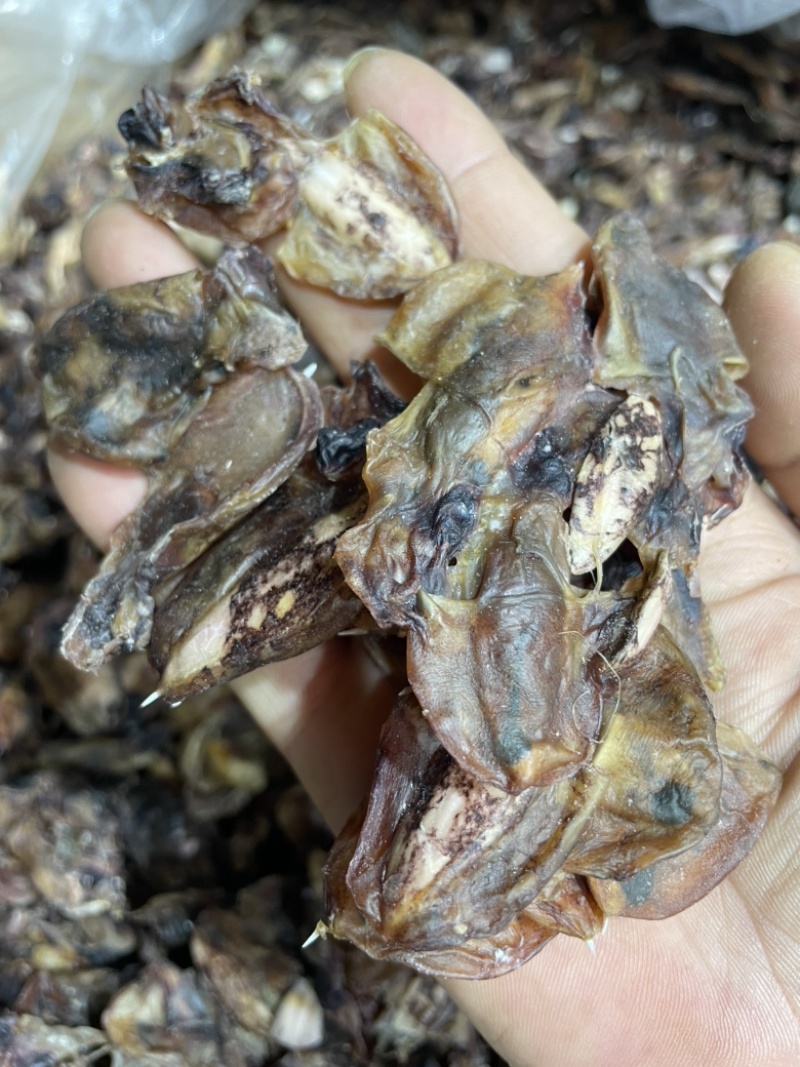 小墨鱼干纯淡足干墨鱼仔汤底料鲜味十足一手货源批发