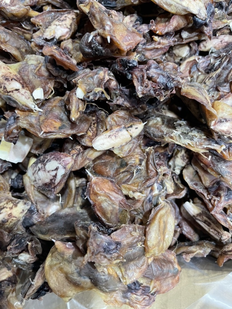 小墨鱼干纯淡足干墨鱼仔汤底料鲜味十足一手货源批发