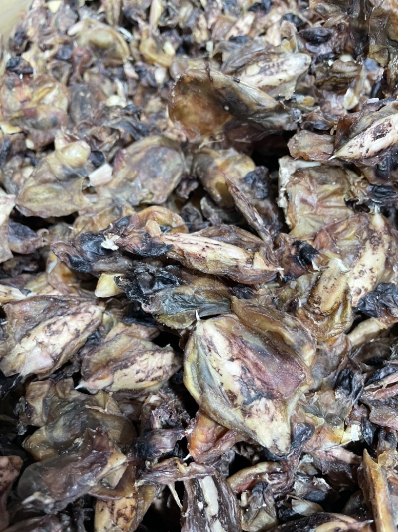 小墨鱼干纯淡足干墨鱼仔汤底料鲜味十足一手货源批发