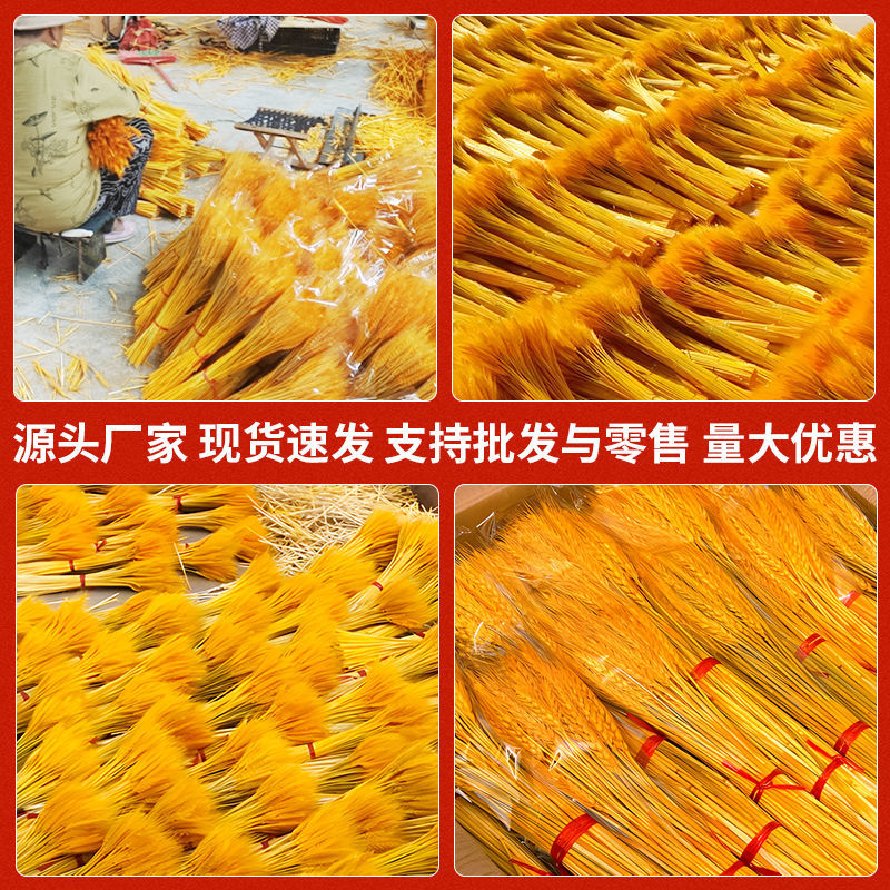 莱彩黄金大麦，大麦干花，麦穗干花，开业大麦