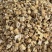 芦根大芦根野生芦根白洋淀芦根藕节芦根量大从优一手货源