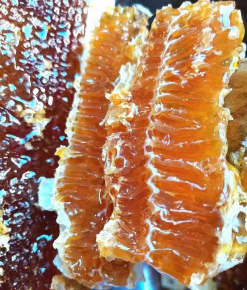 【有好货】正宗陕西土蜂蜜保质保量对接全国货源充足量大从