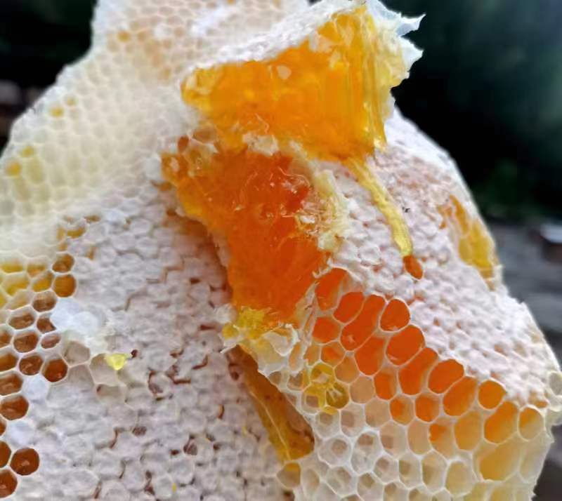 【有好货】正宗陕西土蜂蜜保质保量对接全国货源充足量大从