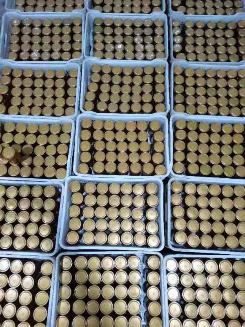【有好货】正宗陕西土蜂蜜保质保量对接全国货源充足量大从