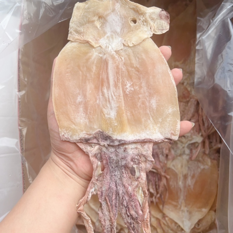 鱿鱼干地摊电商批发无头鱿鱼干整个鱿鱼干干鱿鱼