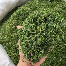 想思藤小叶甘甜鸡骨草茶鸡骨草中药批发