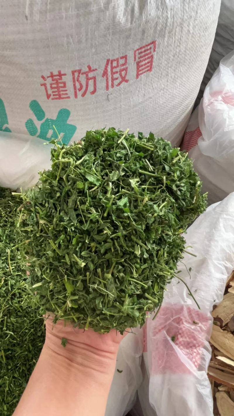 想思藤小叶甘甜鸡骨草茶鸡骨草中药批发