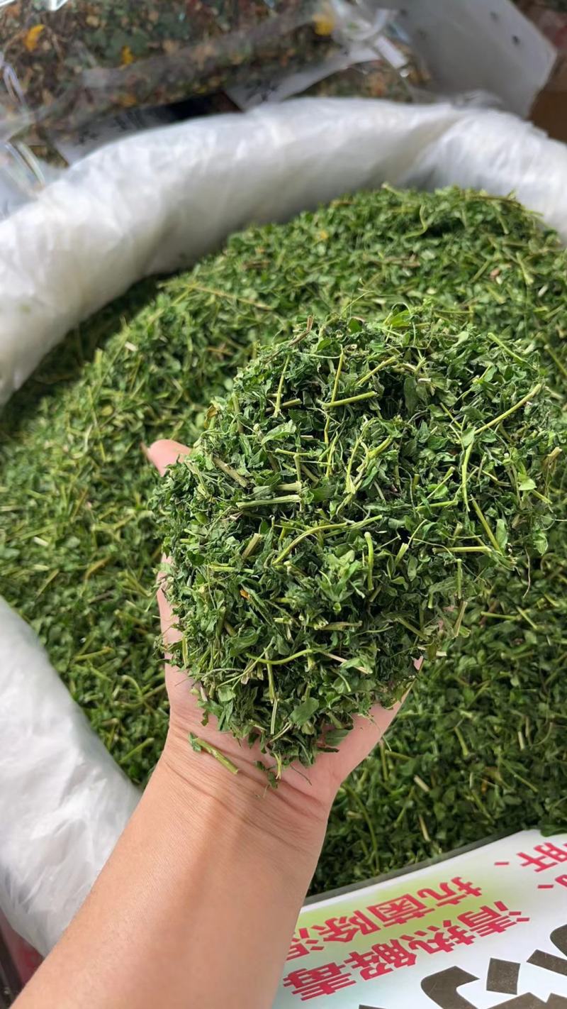 想思藤小叶甘甜鸡骨草茶鸡骨草中药批发