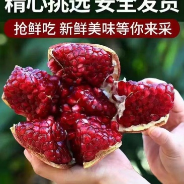 精品石榴，突尼斯软籽石榴大量上市产地一手货源，视频看货。