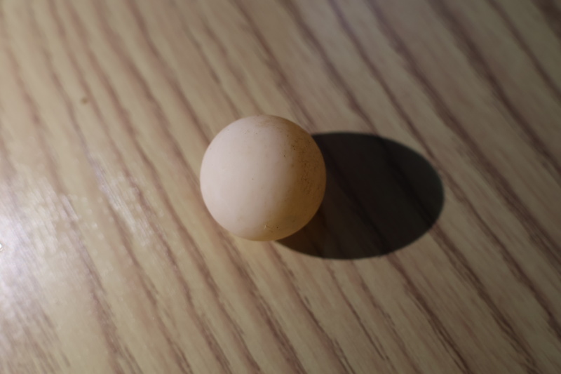 食用甲鱼蛋，现挖现发，保证新鲜