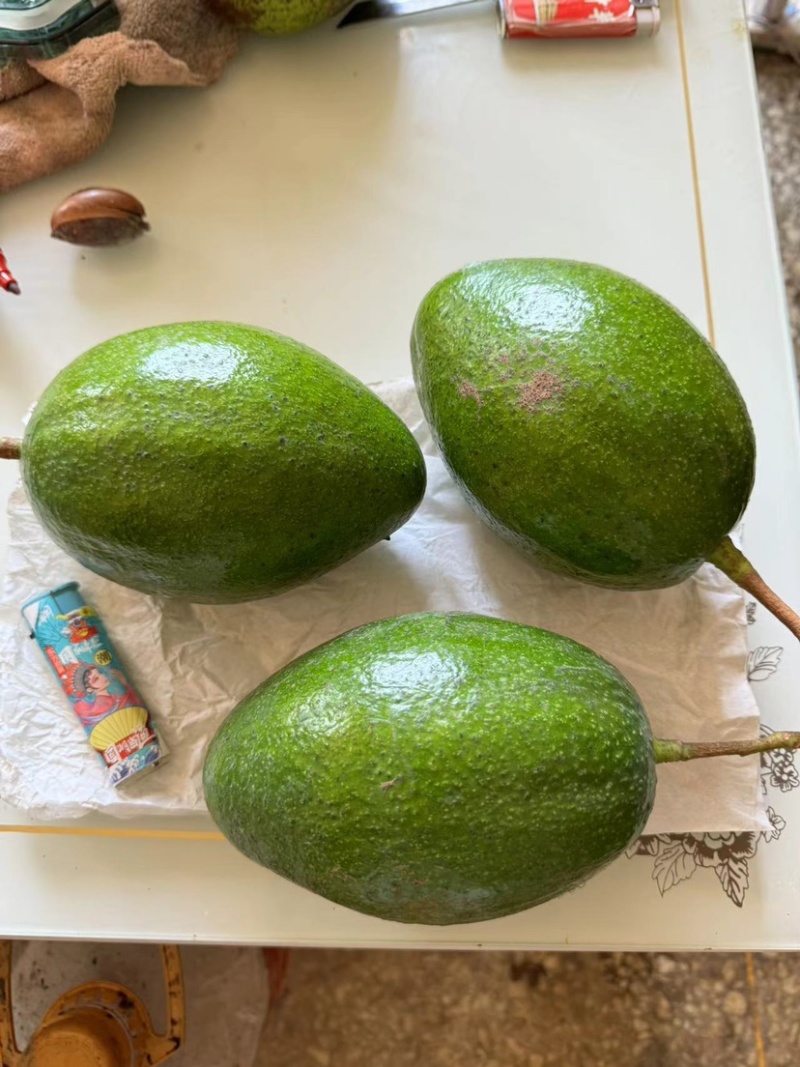 牛油果
