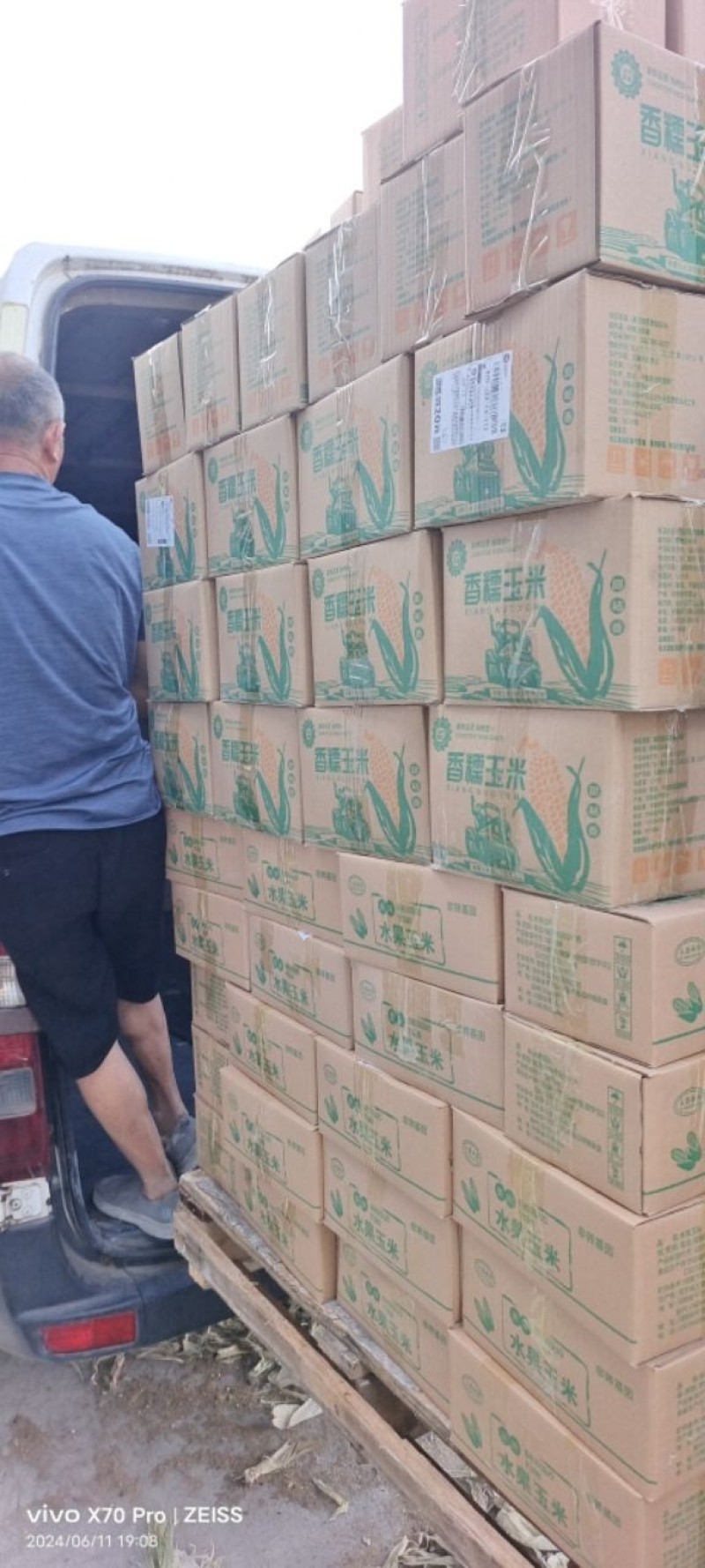 真空糯玉米水果玉米开袋即食一伞旧伞扒溜屋酒尔溜扒