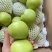 山东金帅苹果苹果大量批发品种齐全当天新鲜采摘