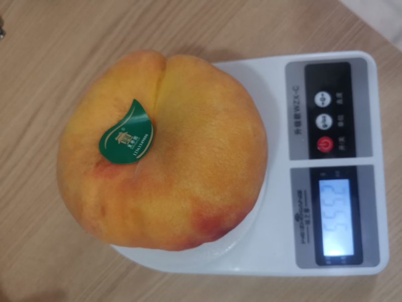 瑞蟠101，大黄金蟠，黄毛蟠，中秋蟠