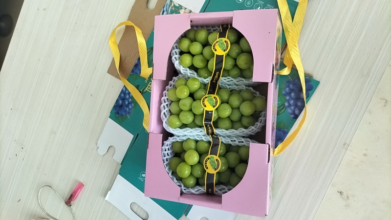 精品阳光玫瑰大果粒糖度好串行漂亮