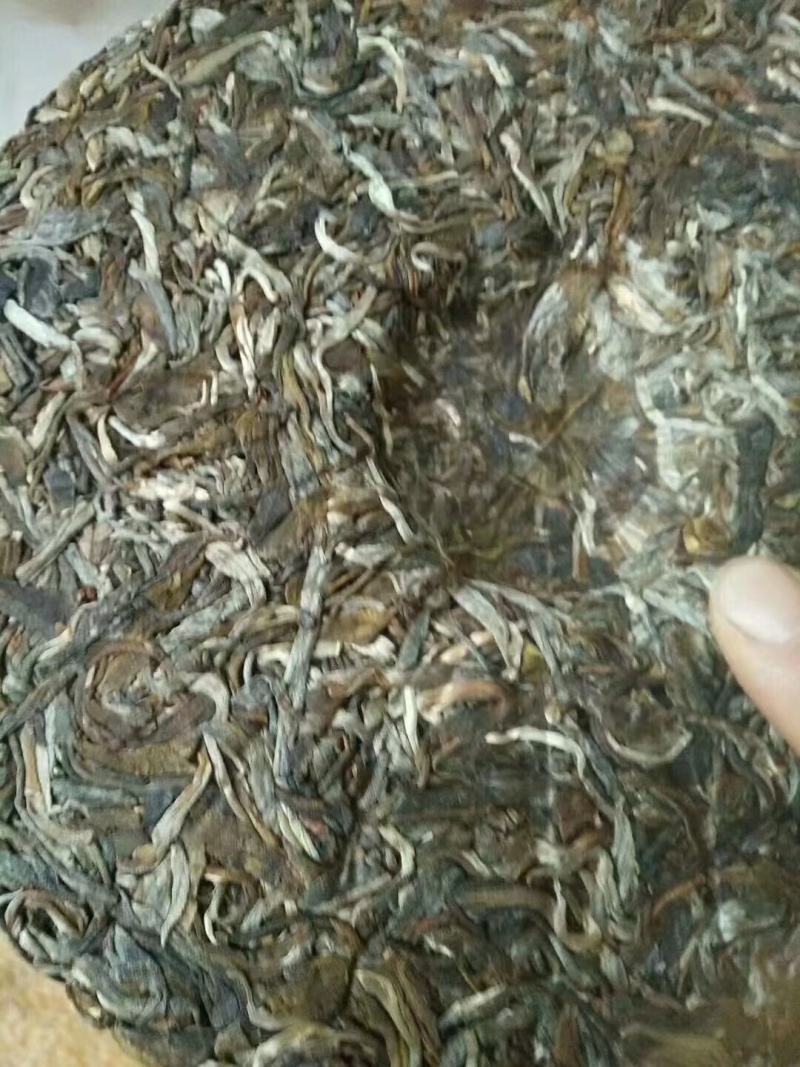 临沧凤庆22年春茶古树散茶纯料生态茶叶，自家茶叶