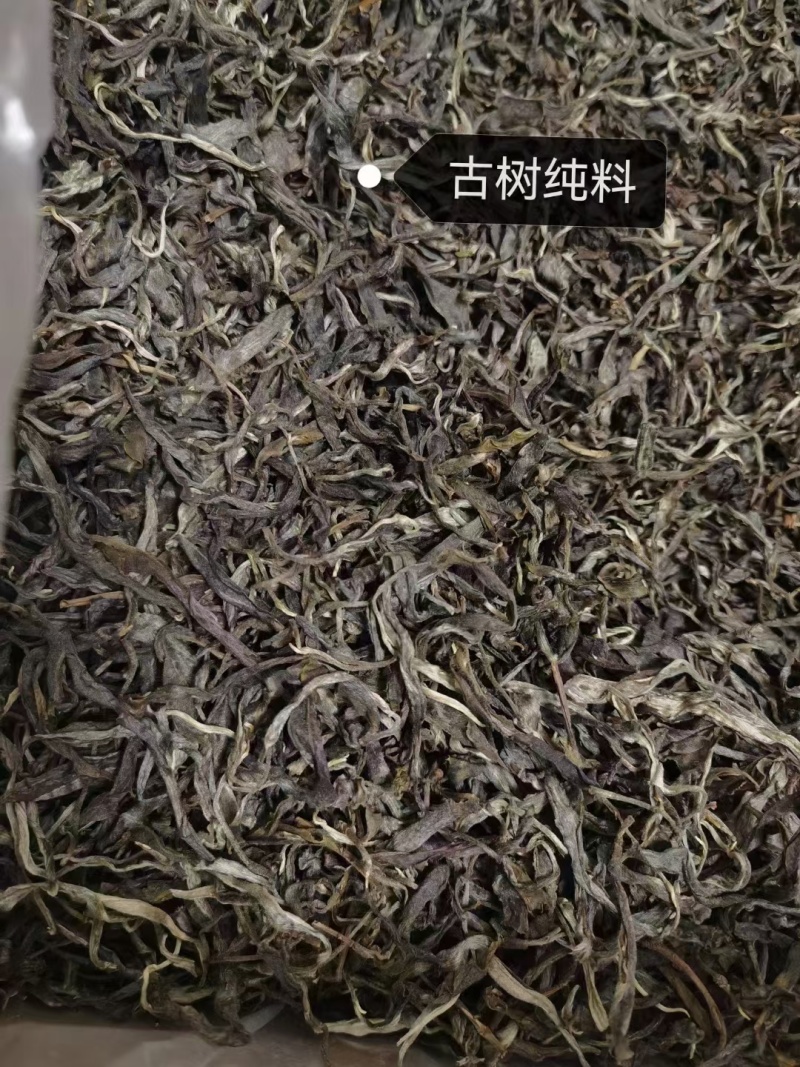临沧凤庆22年春茶古树散茶纯料生态茶叶，自家茶叶