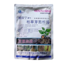 枯草芽孢杆菌枯草牙包苞枯萎病根腐病土壤病害专用杀菌剂
