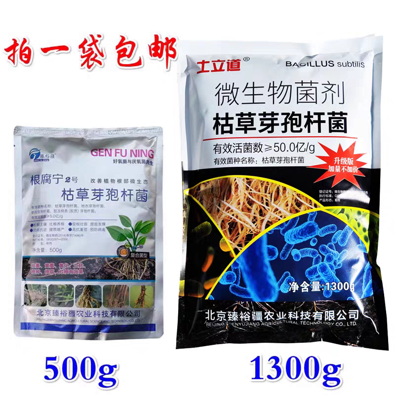枯草芽孢杆菌枯草牙包苞枯萎病根腐病土壤病害专用杀菌剂