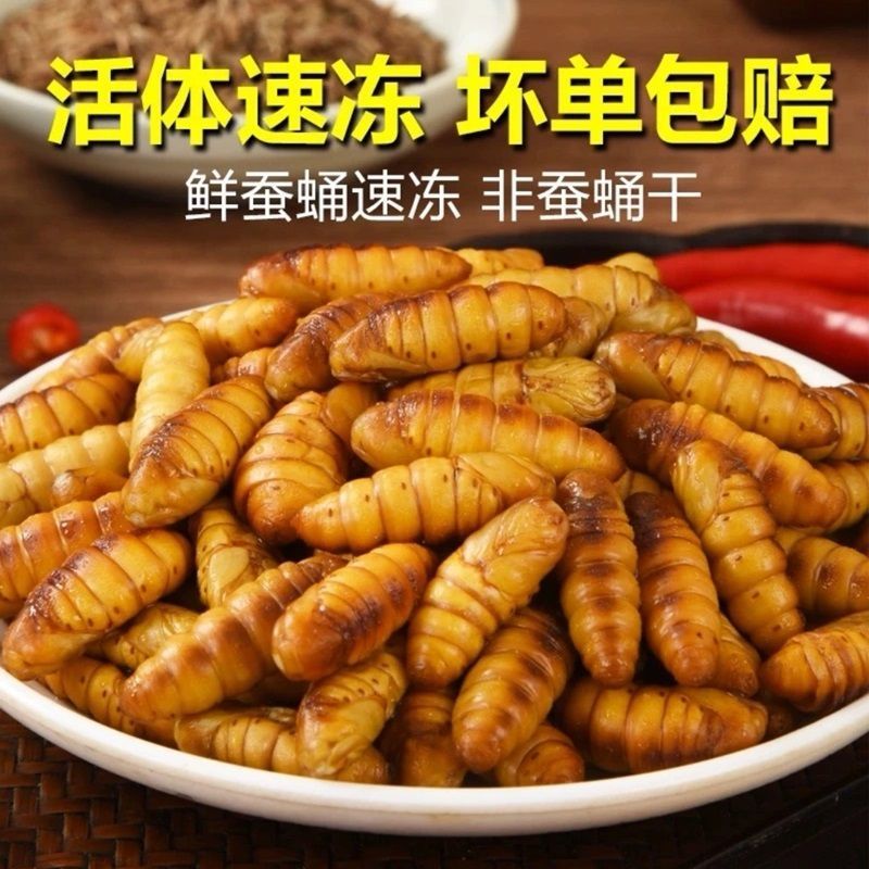 5斤净重金丝蚕蛹包邮可代发量大可谈一斤一袋30袋/箱