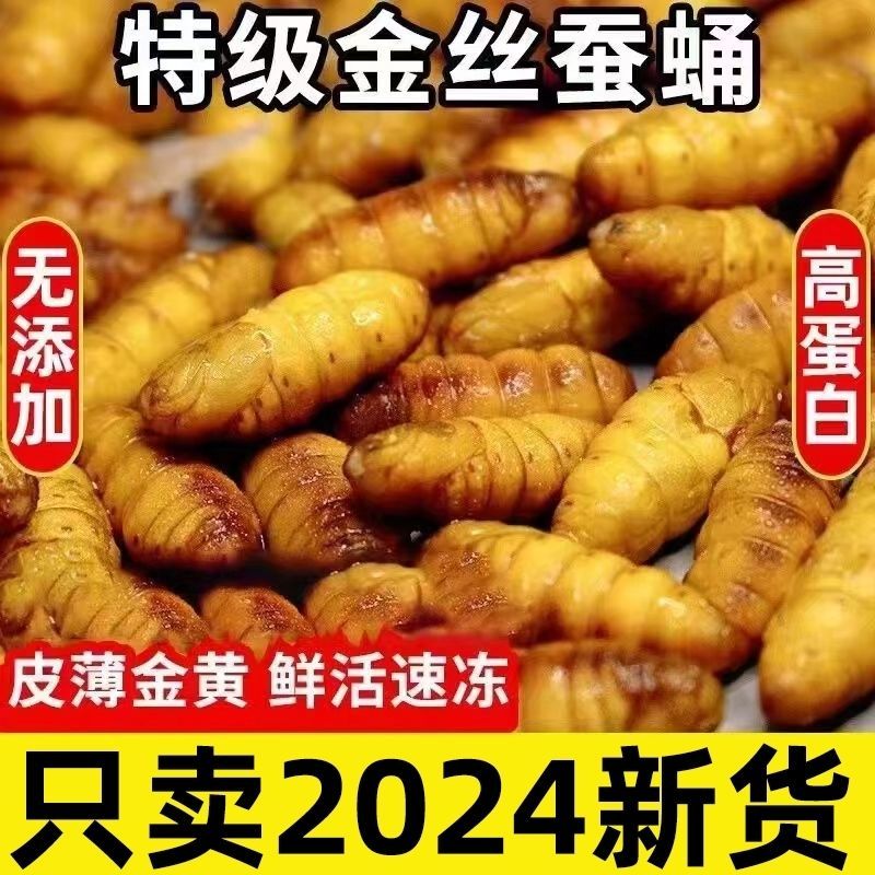 5斤净重金丝蚕蛹包邮可代发量大可谈一斤一袋30袋/箱