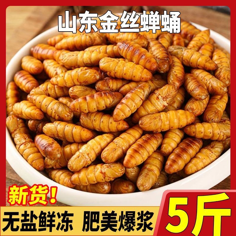 5斤净重金丝蚕蛹包邮可代发量大可谈一斤一袋30袋/箱
