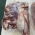 本厂支持按照客户需求加工牛宫后，货源充足，全国发货，手续