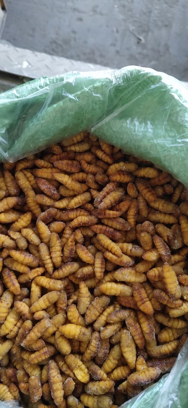 500g/袋金丝蚕蛹可定制箱规30袋/箱