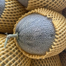 西周蜜、哈密瓜🍈、皮毛好、口感甜、产地直销代发全国各地