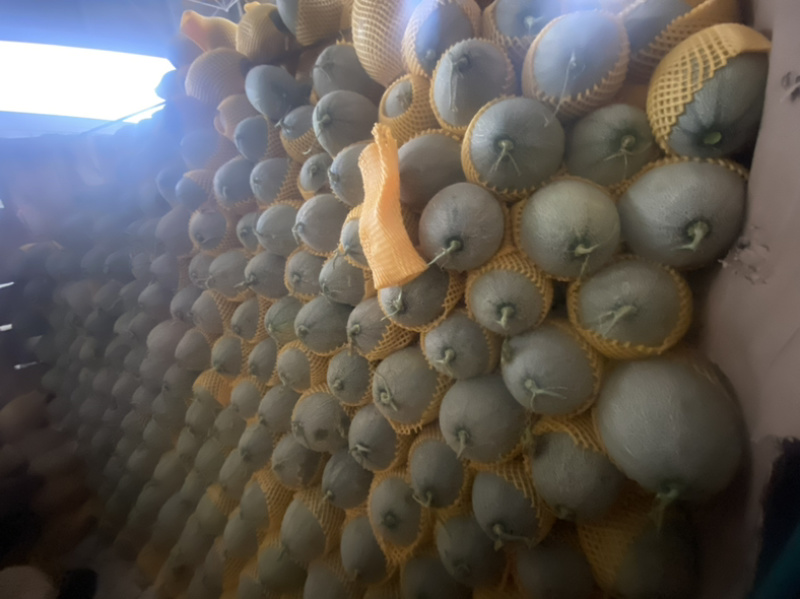 西周蜜、哈密瓜🍈、皮毛好、口感甜、产地直销代发全国各地