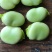 胡豆蚕豆