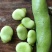 胡豆蚕豆