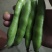 胡豆蚕豆
