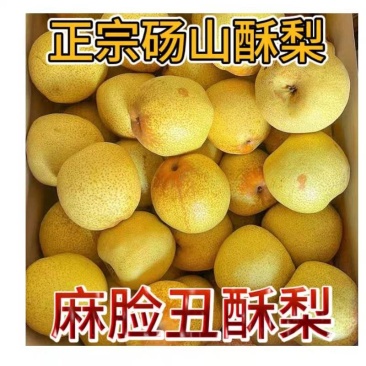 安徽酥梨/砀山酥梨/自家一手货源/一件代发/供应市场电商