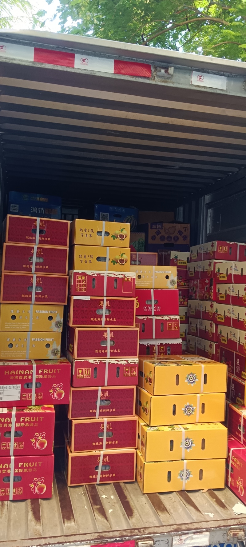 海南金煌芒一件代发早果一级果包邮顺丰净果8斤10斤礼盒装