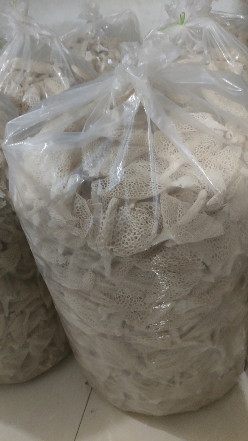 竹荪，长远供应商一手货源品种，品种多样，价格17元1两