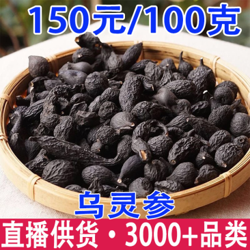 云南乌灵参批发乾坤参吊金钟鸡枞胆雷震干货100克/件