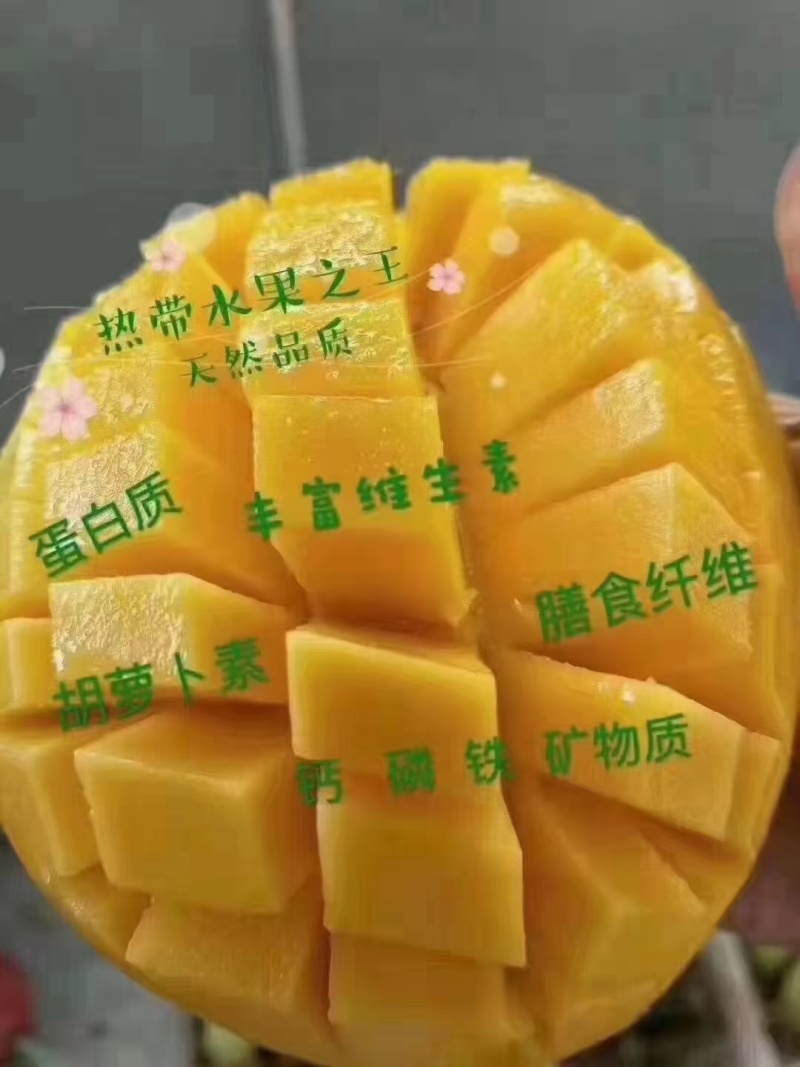 【顺丰包邮】海南金煌芒当季热带水果新鲜芒果生熟