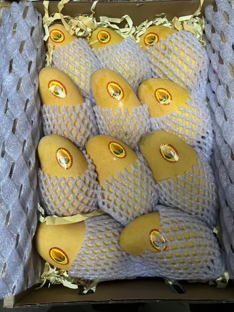 【顺丰包邮】海南金煌芒当季热带水果新鲜芒果生熟