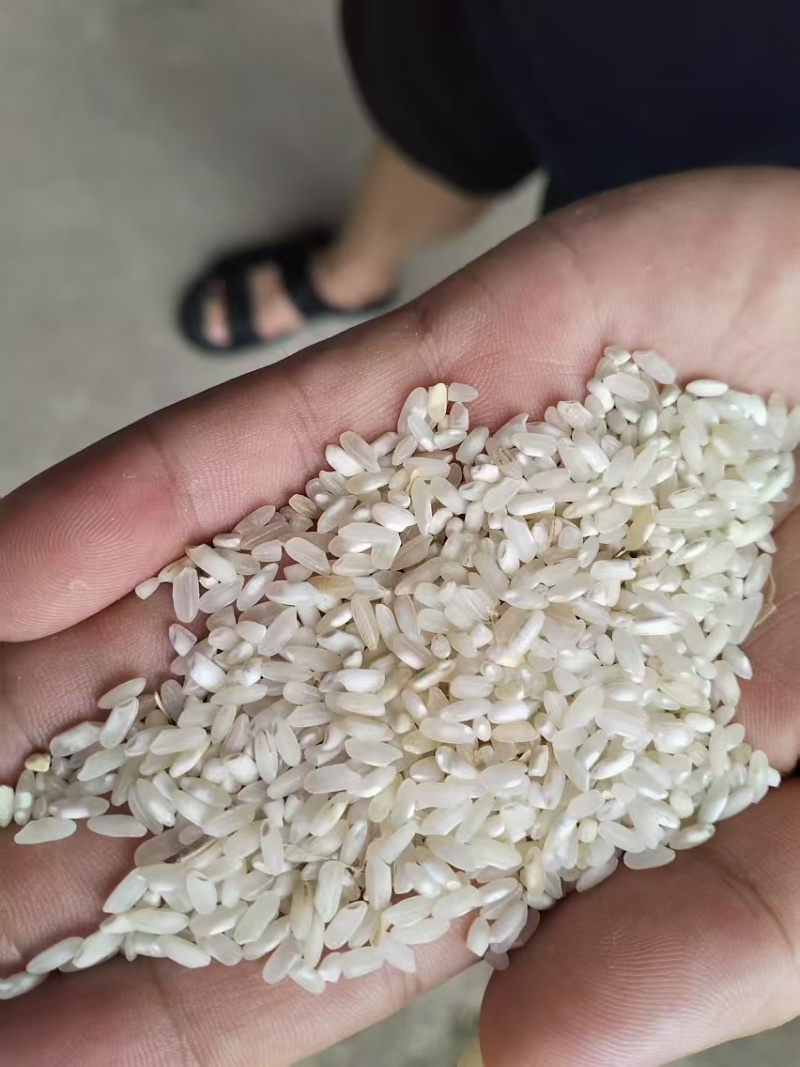 圆早中长混合，米粉，肠粉专用大米。