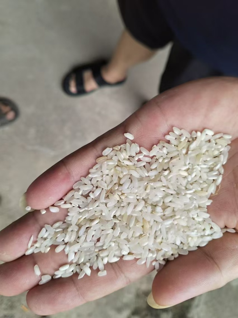 圆早中长混合，米粉，肠粉专用大米。
