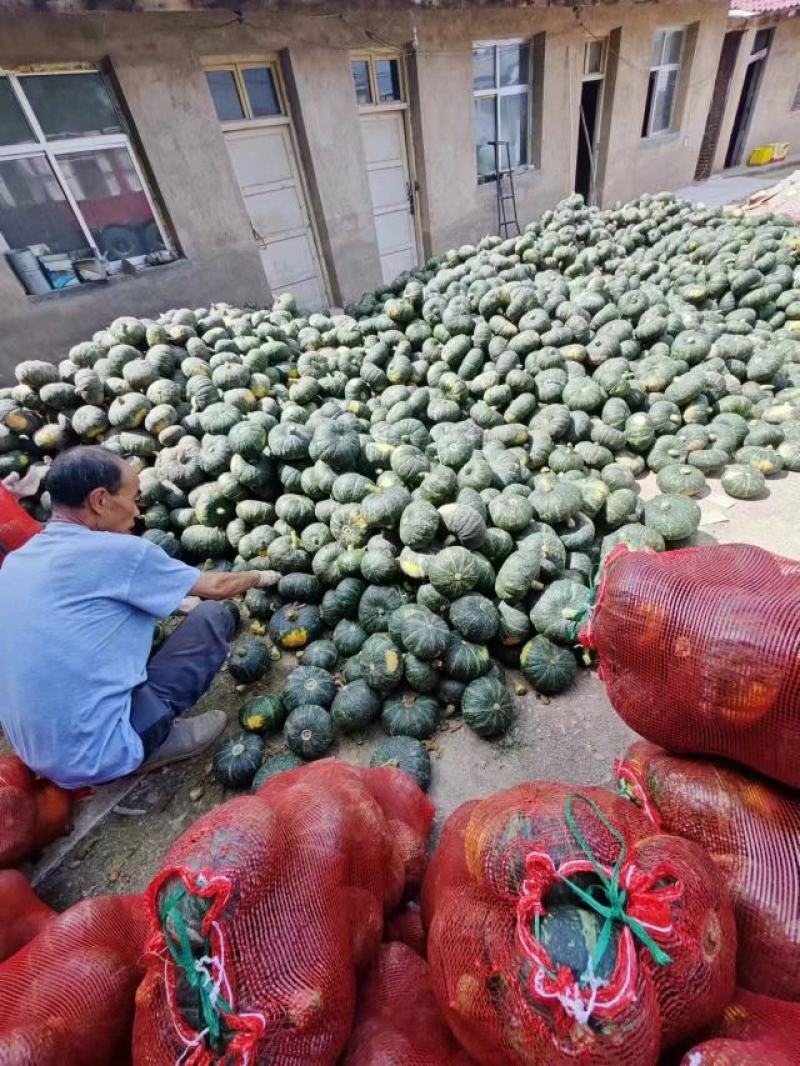 板栗南瓜产地一手货源老板热情量大从优，欢迎电联采购