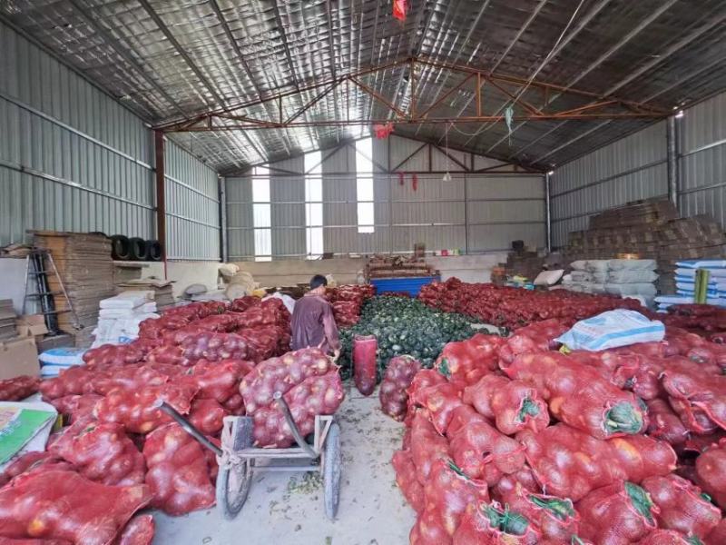 板栗南瓜产地一手货源老板热情量大从优，欢迎电联采购