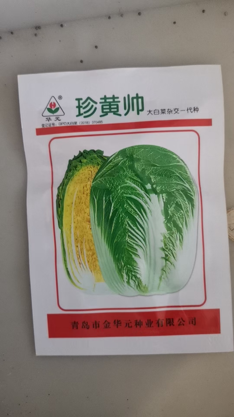 春秋两用黄心大白菜种子生育期60天