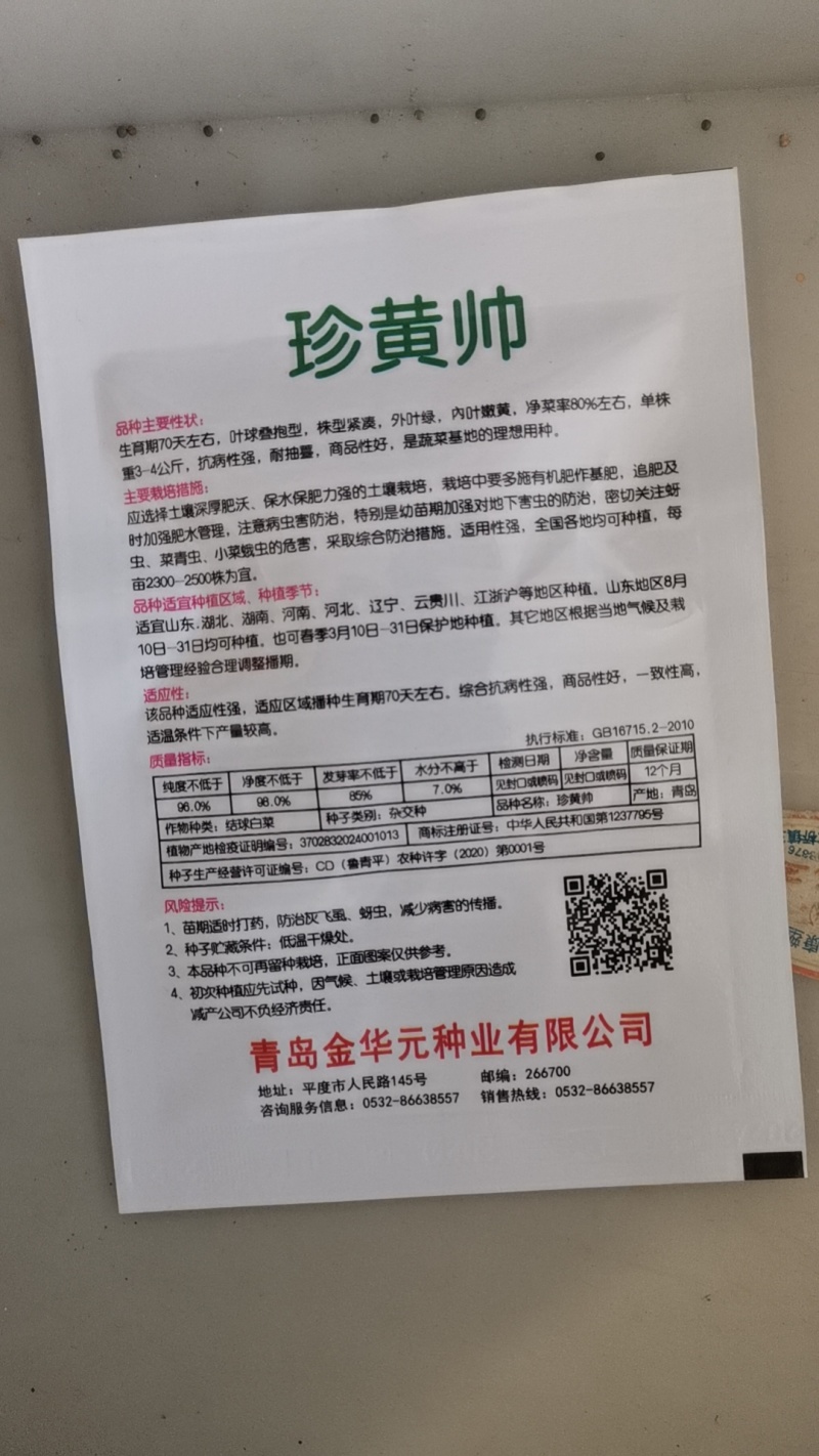 春秋两用黄心大白菜种子生育期60天