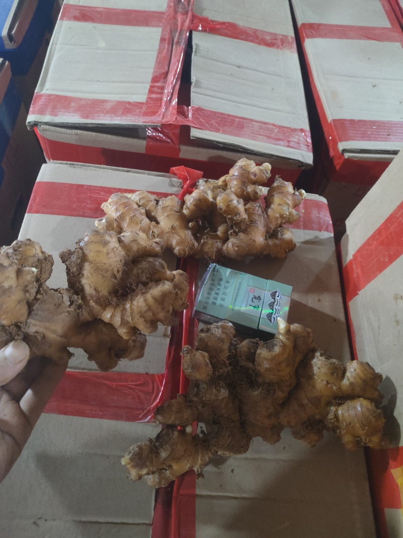 云南二黄姜市场货(不含物老辣黄土带纸箱发货