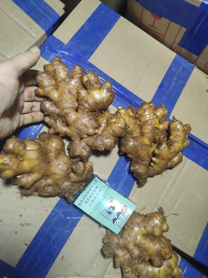 云南二黄姜市场货(不含物老辣黄土带纸箱发货